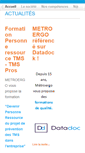 Mobile Screenshot of metroergo.com